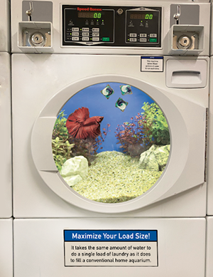 A Photoshopped image of a fish in a washing machine.